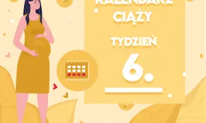 Kobieta w żółtej sukience, z widocznym brzuszkiem, symbolizuje 6 tydzień ciąży. Obok kalendarz i napisy "KALENDARZ CIĄŻY TYDZIEŃ 6.".