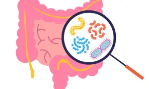 Mikroskop powiększa bakterie jelitowe, w tym kształt przypominający pałeczkę, który może być **clostridium**.
