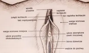 Labioplastyka nfz gdzie: Jak uzyskać refundację i uniknąć problemów