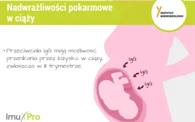 Ilustracja przedstawia ciążę i podkreśla, że przeciwciała IgG mogą przenikać przez łożysko, co jest istotne w kontekście nadwrażliwości pokarmowych w ciąży.