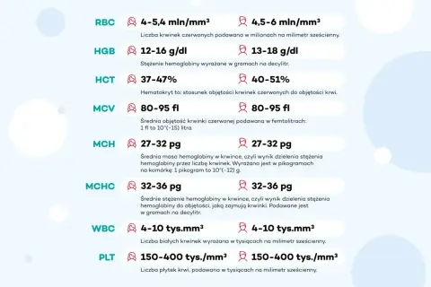 Tabela norm parametrów krwi. Niski poziom erytrocytów (RBC) może wskazywać na niedobory.
