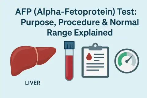 Badanie AFP (Alfa-fetoproteina) to test oceniający wątrobę, krew i wyniki.