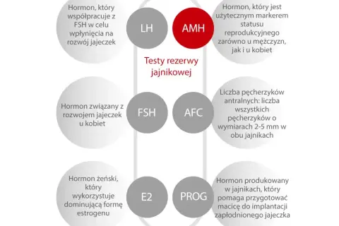 AMH badanie: hormon kluczowy dla oceny rezerwy jajnikowej, marker płodności u obu płci.