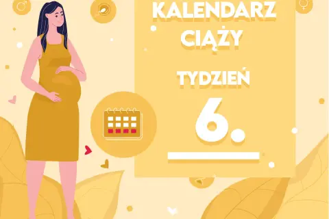 Kobieta w żółtej sukience, z widocznym brzuszkiem, symbolizuje 6 tydzień ciąży. Obok kalendarz i napisy "KALENDARZ CIĄŻY TYDZIEŃ 6.".