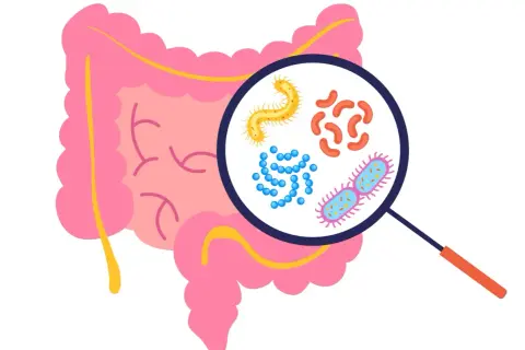 Mikroskop powiększa bakterie jelitowe, w tym kształt przypominający pałeczkę, który może być **clostridium**.