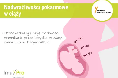 Ilustracja przedstawia ciążę i podkreśla, że przeciwciała IgG mogą przenikać przez łożysko, co jest istotne w kontekście nadwrażliwości pokarmowych w ciąży.