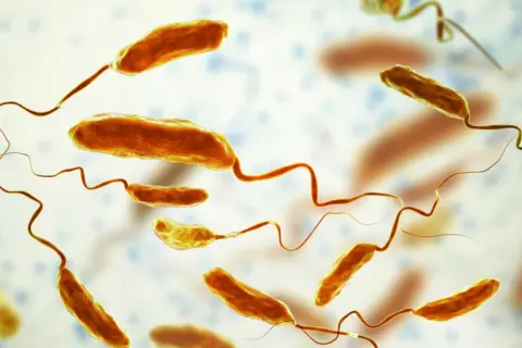 Bakterie Vibrio cholerae, które wywołują chorobę cholera, unoszą się w wodzie.
