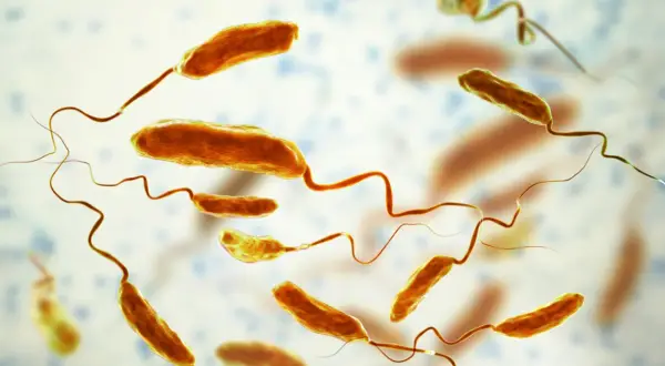 Bakterie Vibrio cholerae, które wywołują chorobę cholera, unoszą się w wodzie.