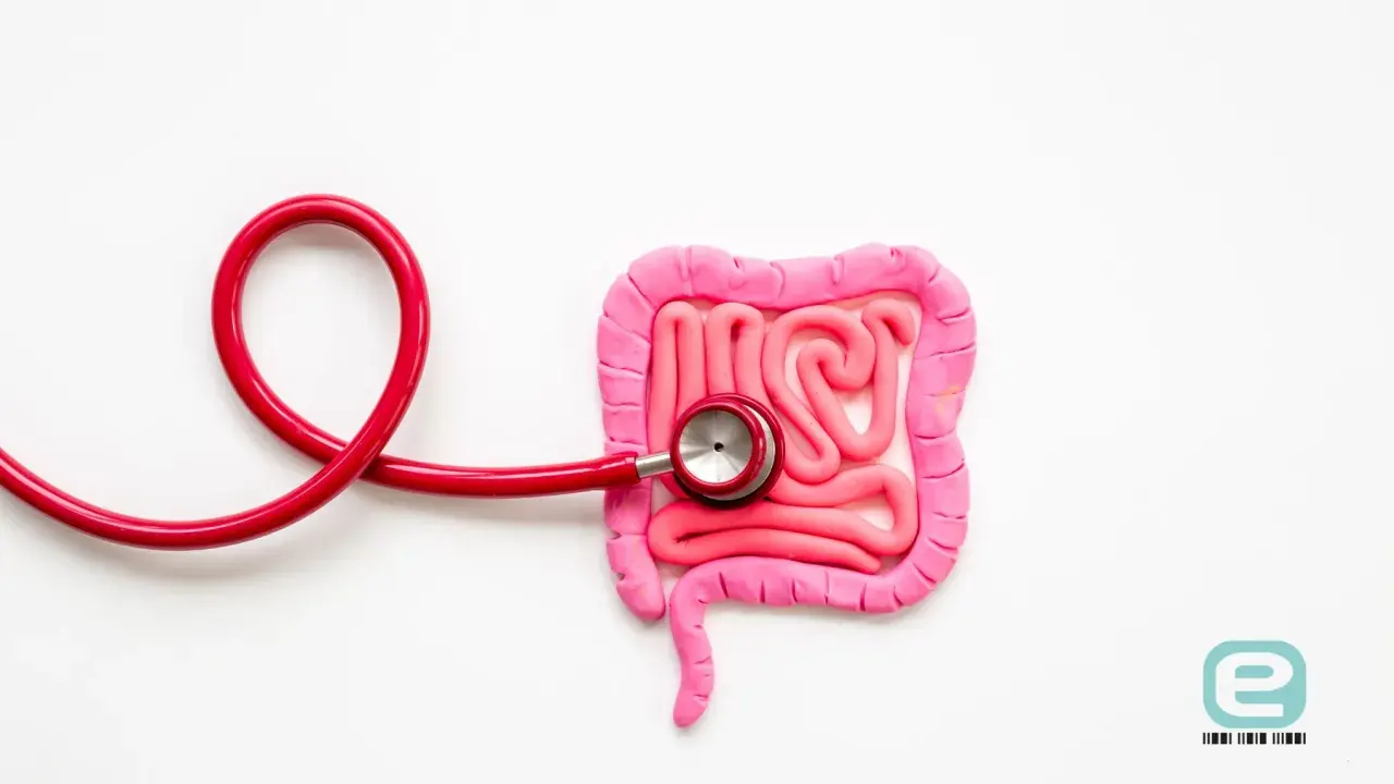 Model jelitowy z plasteliny z podłączonym stetoskopem, symbolizujący diagnostykę sibo objawy.