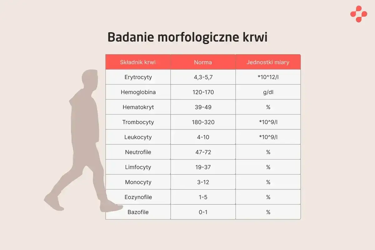 Tabela badań morfologicznych krwi, z normami dla leukocytów. Niskie leukocyty mogą wskazywać na osłabienie organizmu.
